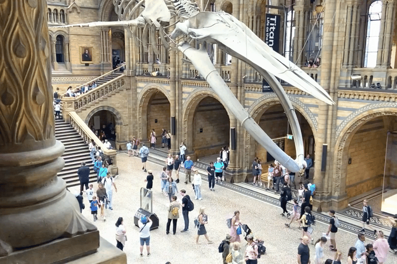 A machine learning toolkit in your pocket